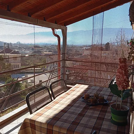 Tatil Evi The Stoners *